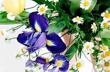Mother’s Day Flowers