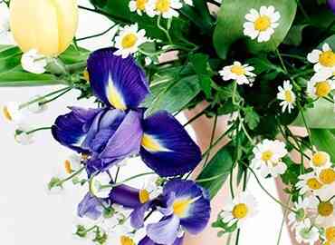 Mother’s Day Flowers