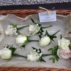 cream rose buttonholes