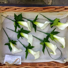 calla lily buttonholes