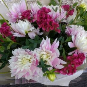 dahlia bouquet dahlia bouquet