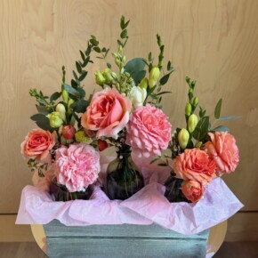 IMG_7554 IMG_7554