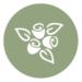 bouquet_icons_72dpi-20